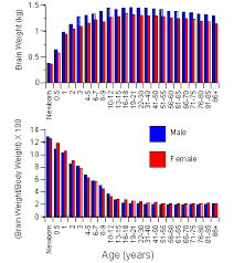 Brain Weight