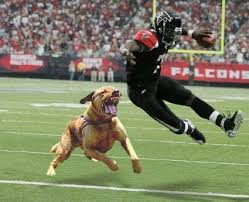What was the first thing Vick