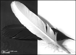 Link Image