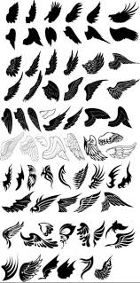 pics bird wings