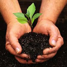 Network Marketing Success And Gardening