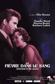 La Fièvre dans le sang streaming trailer de film La Fièvre dans le san