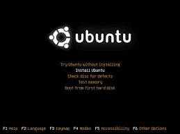 Ubuntu 10.04
