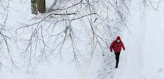 Boston weather