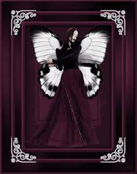butterfly gif image