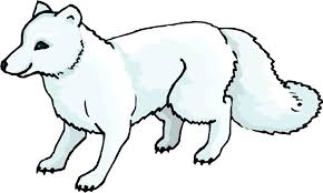 fox coloring sheets
