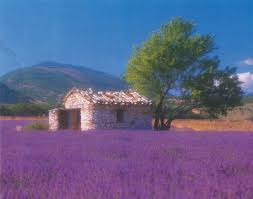 Provence, France