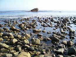 tidepools