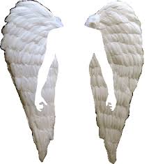 angel wings photo