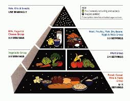 image of food guide pyramid