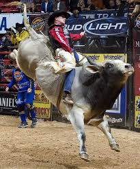 pbr bull riders