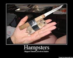 hampster