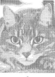 Cat face ASCII Art