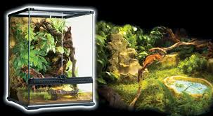 the terrarium