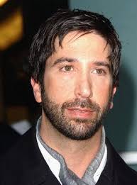 david schwimmer