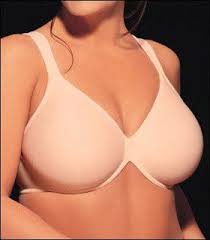 Big Boobs Jessica In Sexy Bikini