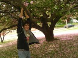 Main Photo of Matthew. Death