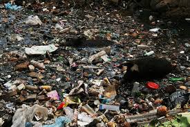 trash