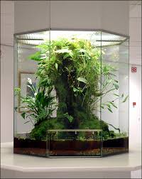 vivarium