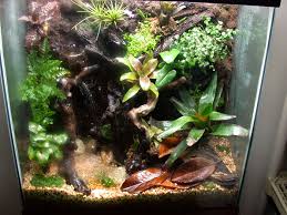 vivarium