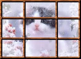 greeting card messages