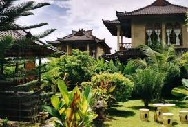 taman di rumah Choosing the Right Plants for Your Garden