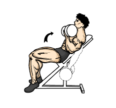 incline dumbbell curl