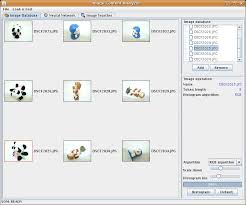 c example programs