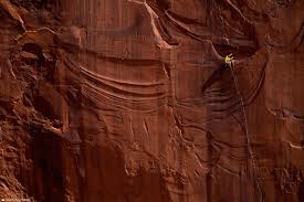 �Alex Honnold