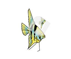 tropical fish clipart
