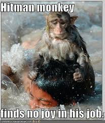 funny monkey