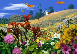http://t2.gstatic.com/images?q=tbn:mMNiDUMSlykv9M:http://forums.graaam.com/up/uploaded8/140294_11207923055.jpg&t=1