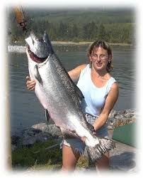 salmon fish pictures