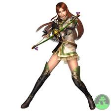 dynasty warrior