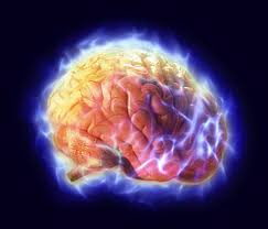 http://t2.gstatic.com/images?q=tbn:mUmOz_SMSIyqhM:http://img132.imageshack.us/img132/9738/electricbrainso9.jpg