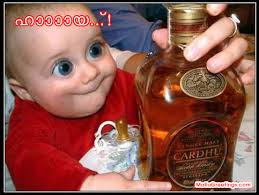 funny blogs