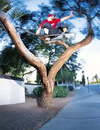 chad muska