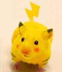 pika...chu Pokemon-Pikachu