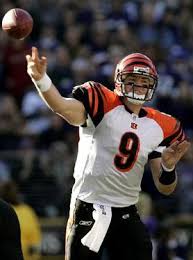 Carson Palmer Pictures,