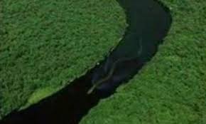 large snake pictures
