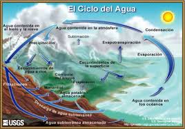 Ver imagen en tamaño completo