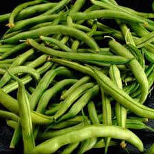 فوصوليا  Greenbeans1