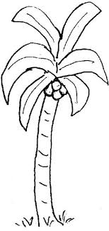 palm tree coloring sheets