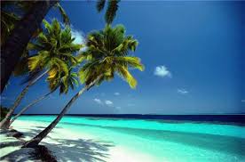 tropical beach backgrounds