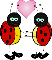 ladybugs clip art pictures