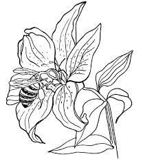 printable flower pictures