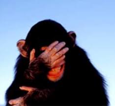 embarrassed-moment-723101.jpg