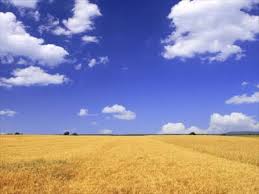 beautiful landscapes