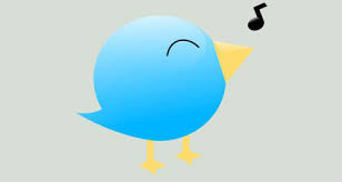 little bird pictures