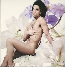 prince when doves cry
